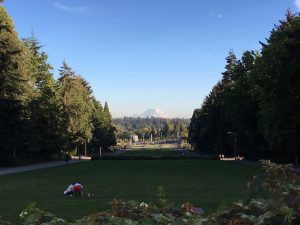 Mount Rainier vom Campus der University of Washington