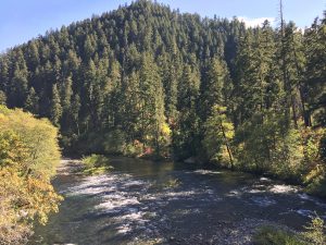 Umpqua River