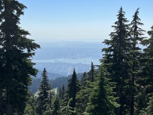 Blick vom Grouse Mountain